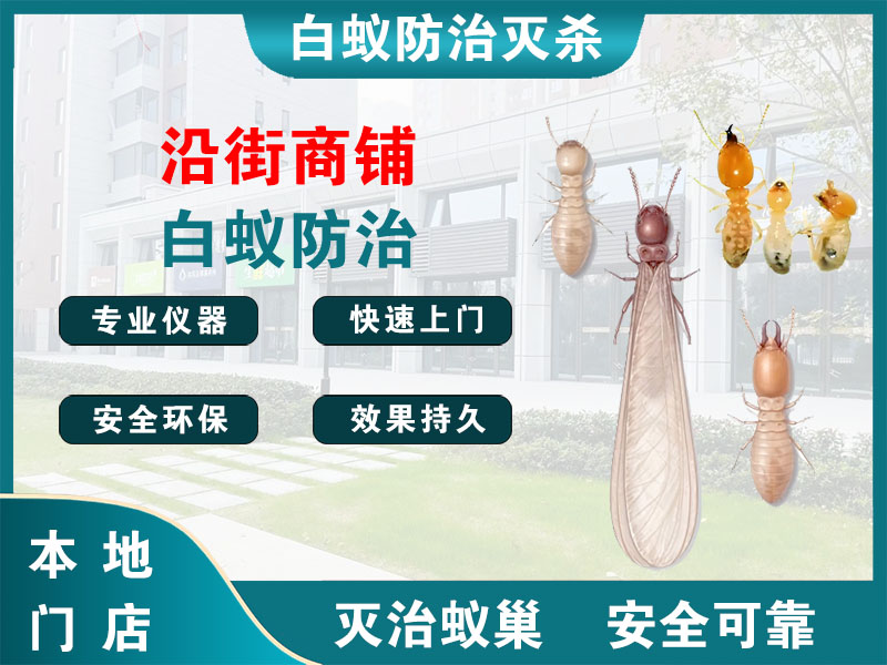 嵊州市沿街商铺白蚁防治