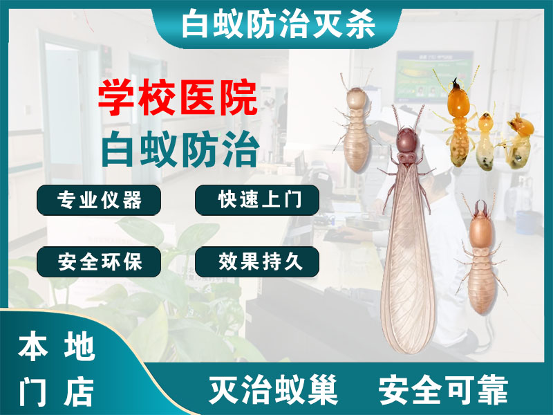 嵊州市学校医院白蚁防治