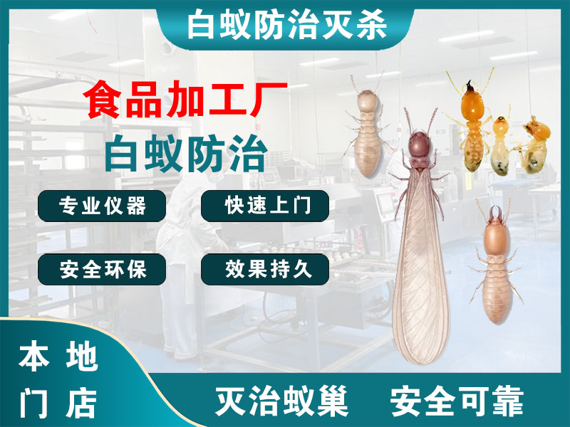 嵊州市食品加工厂白蚁防治