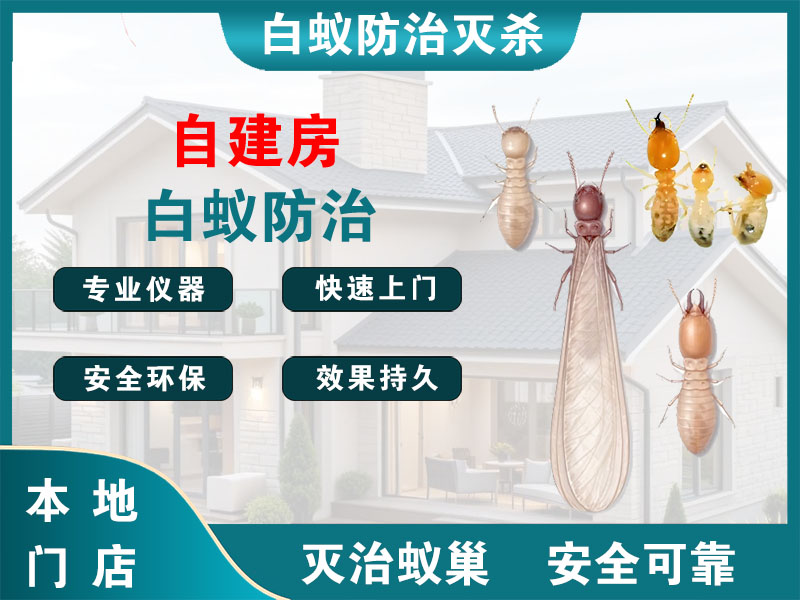 嵊州市自建房白蚁防治