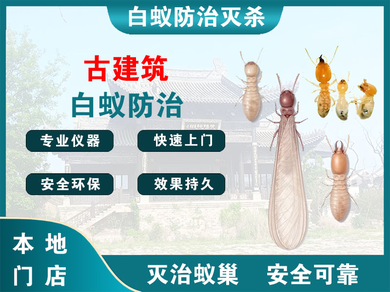 嵊州市古建筑白蚁防治