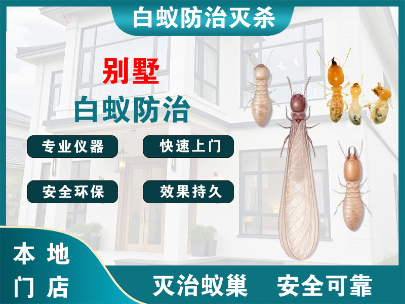 嵊州市别墅白蚁防治
