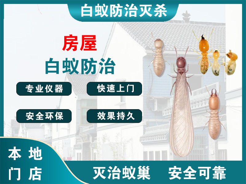 嵊州市房屋白蚁防治